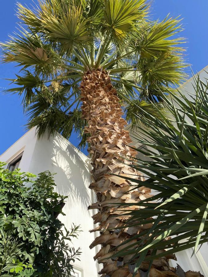 Villa Sezen Kalkan Exteriör bild